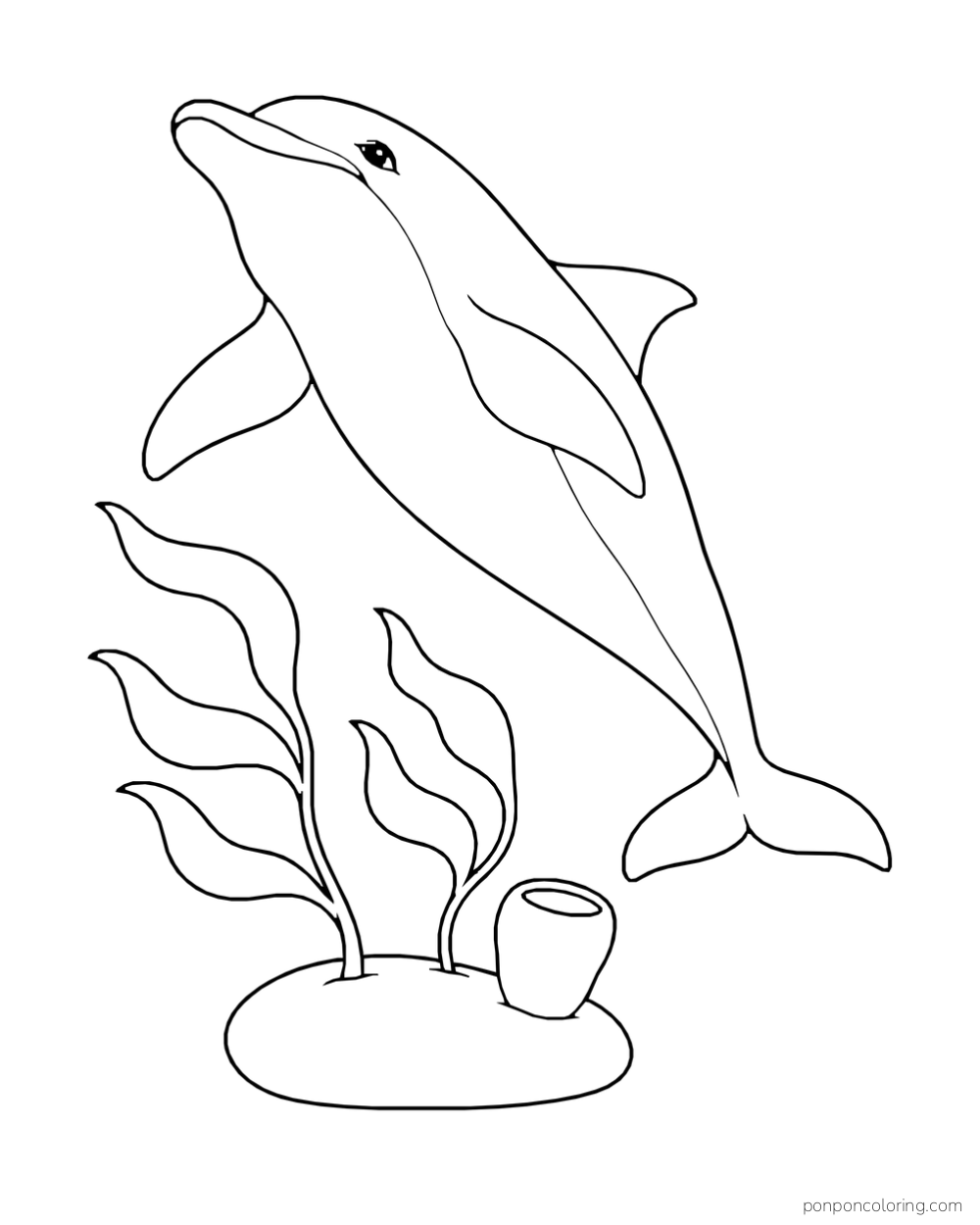 Low upward view of a dolphin gliding above two broad seaweed fronds rooted in a reef stone beside a cup-shaped sponge.