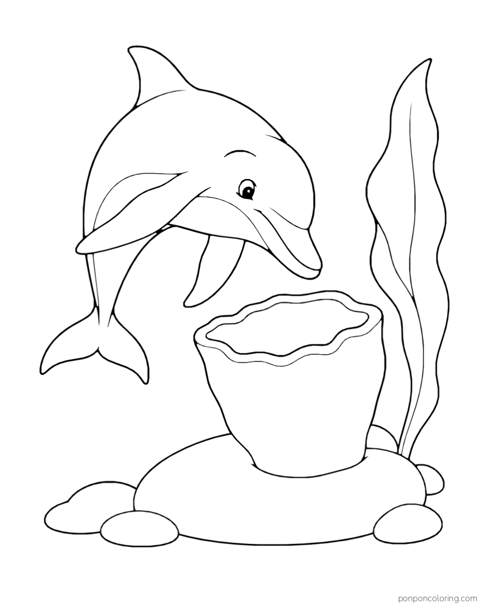 A dolphin bends toward a broad cup-shaped sea sponge on a low stone beside one tall sea leaf.