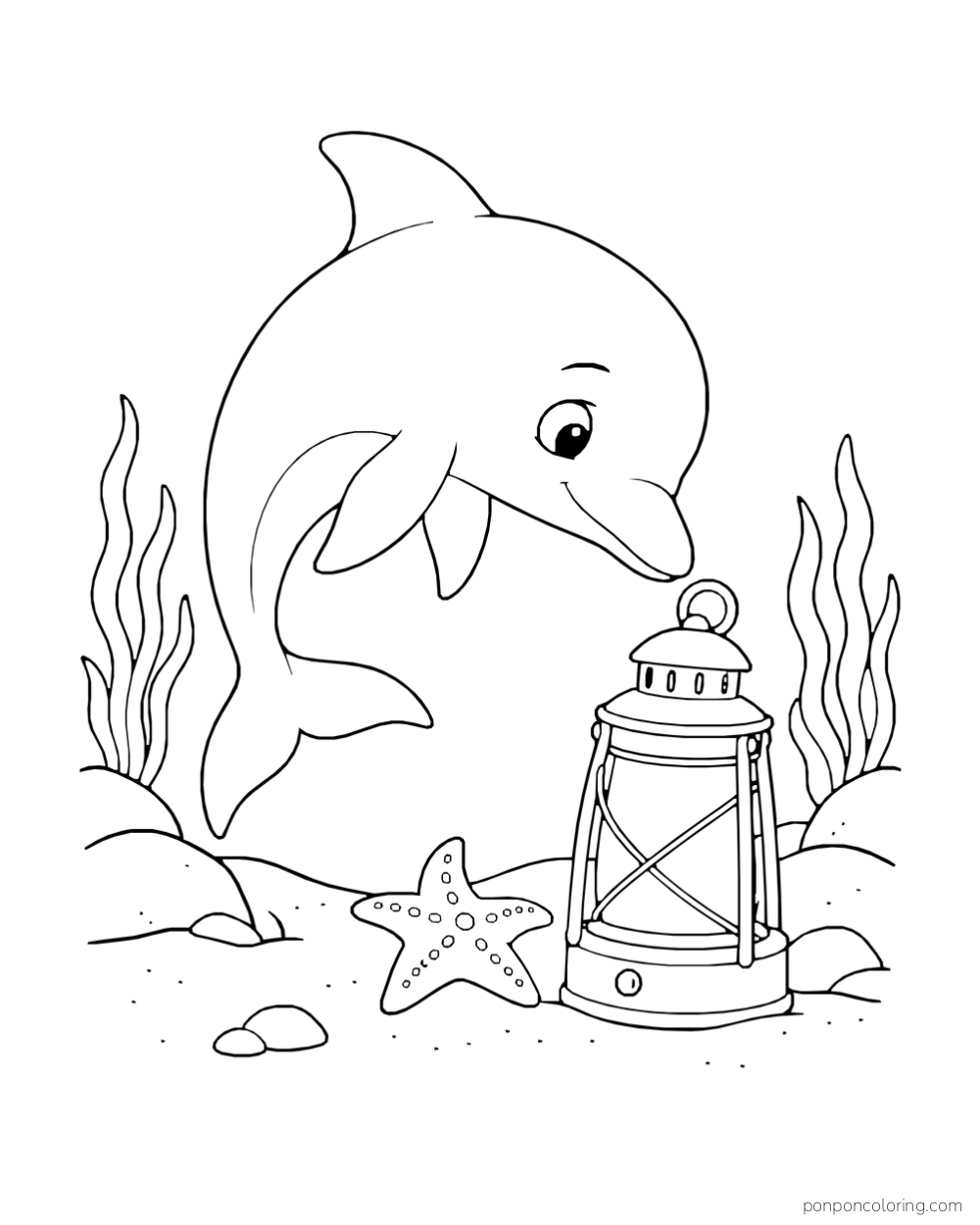 A dolphin examines a lantern beside a starfish on the seabed.