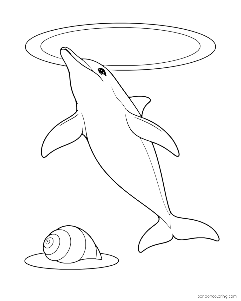 Low view of a dolphin gliding below a broad oval surface band, with a spiral shell on a small stone shelf.