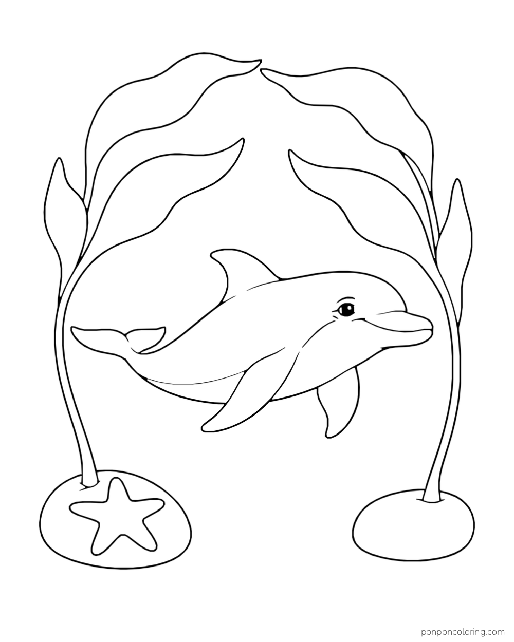 A dolphin glides below two broad seaweed fronds rooted in separate stones, one with a sea star.