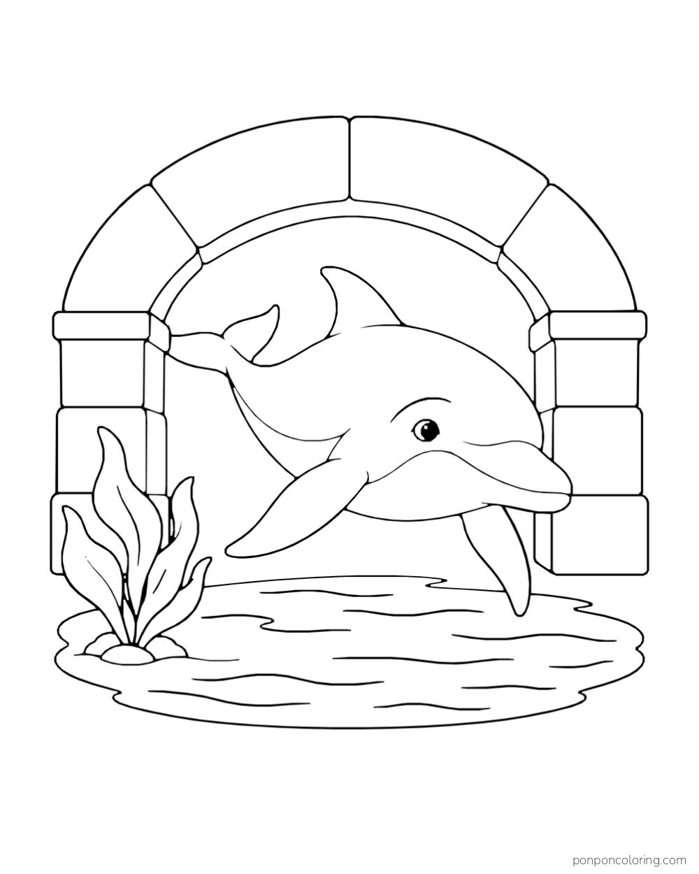 A dolphin glides through a wide stone bridge arch above shallow water and a broad sea plant.