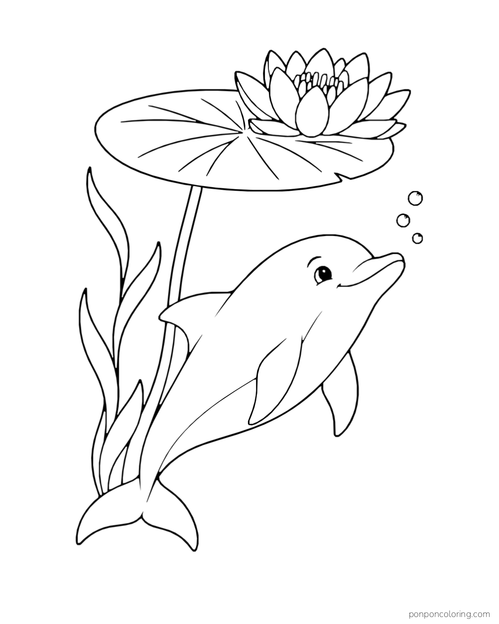 A dolphin swims beneath a water lily and its broad leaf.