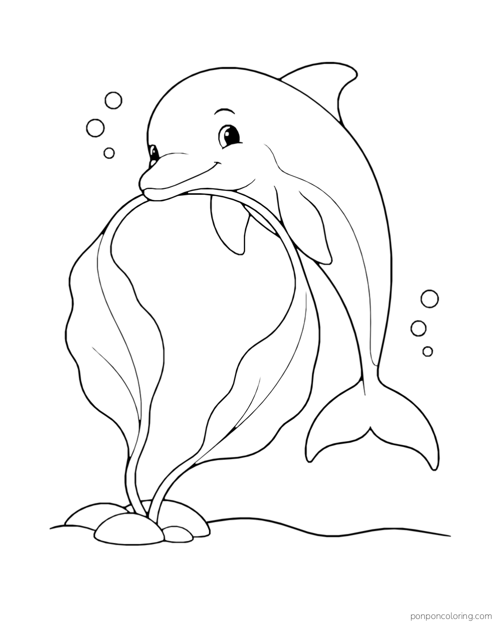 A dolphin leans over a loop of kelp anchored by stones.