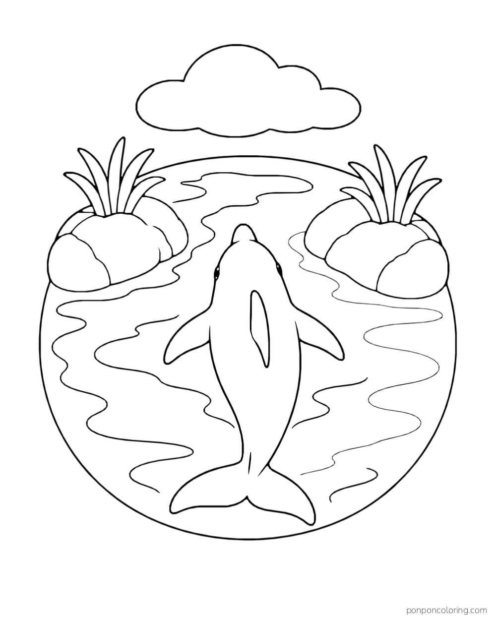 Rear-overhead dolphin gliding between two grass-topped rocky islets in an oval sea pool.
