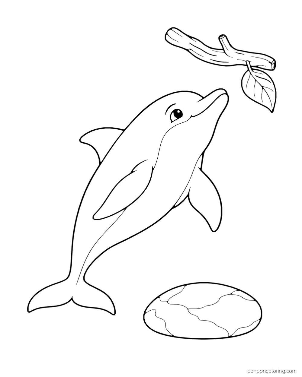 A dolphin glides toward a separate drifting branch with one leaf, with a smooth stone below.