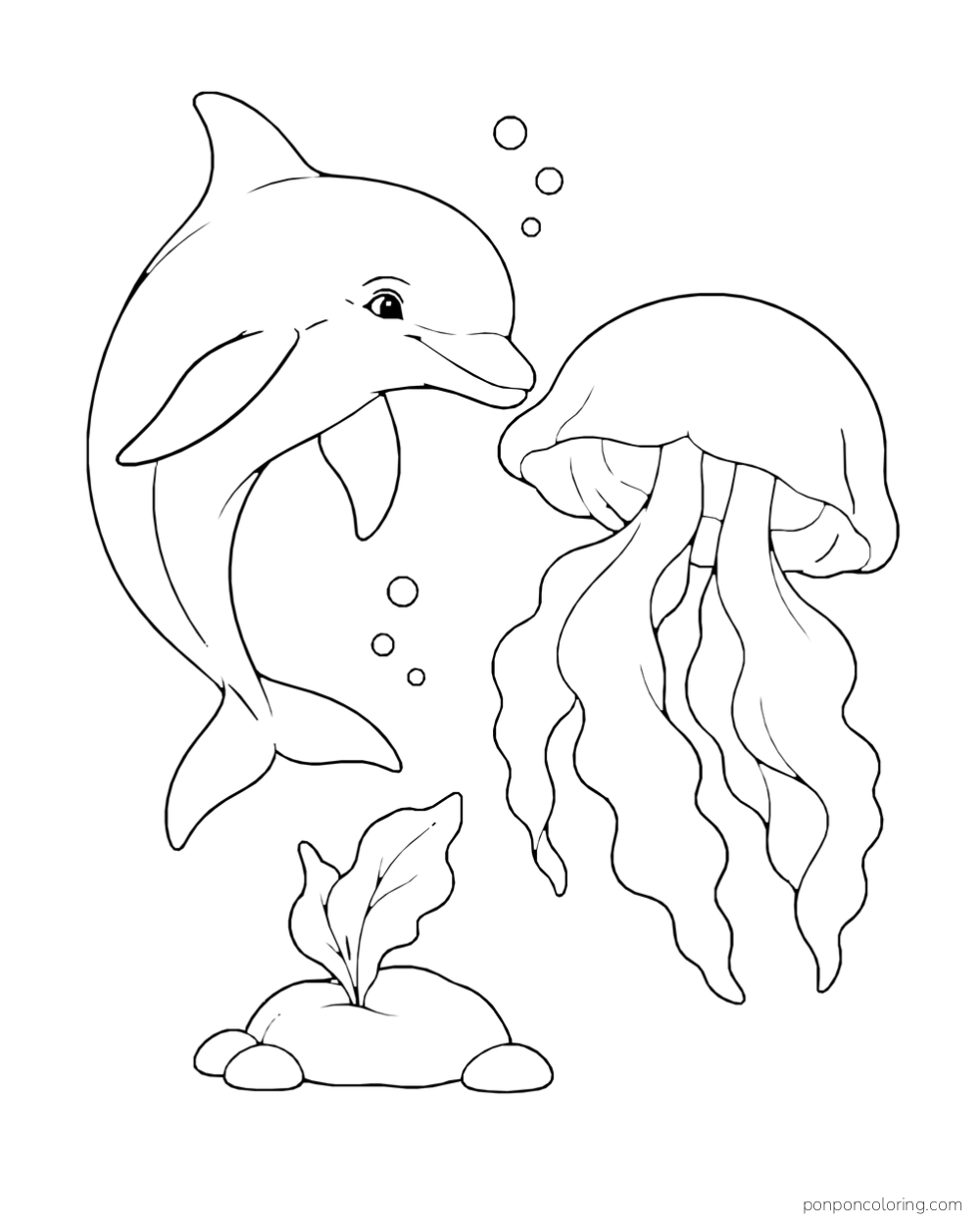 A dolphin swims beside a large jellyfish with broad trailing arms above a smooth reef stone and sea leaf.