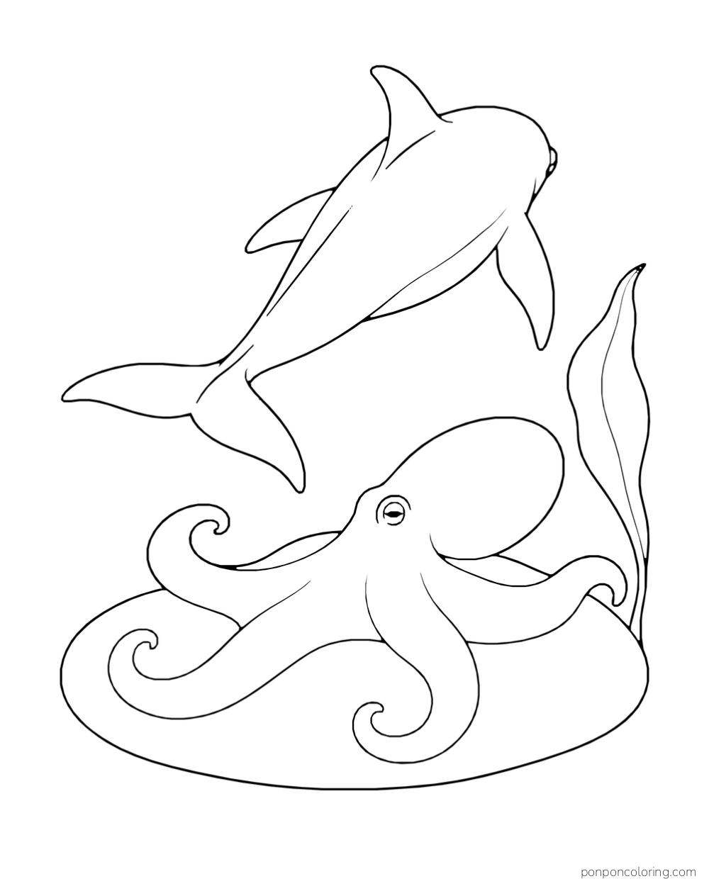 A dolphin seen from behind passes above a broad octopus on a low oval reef beside one sea leaf.