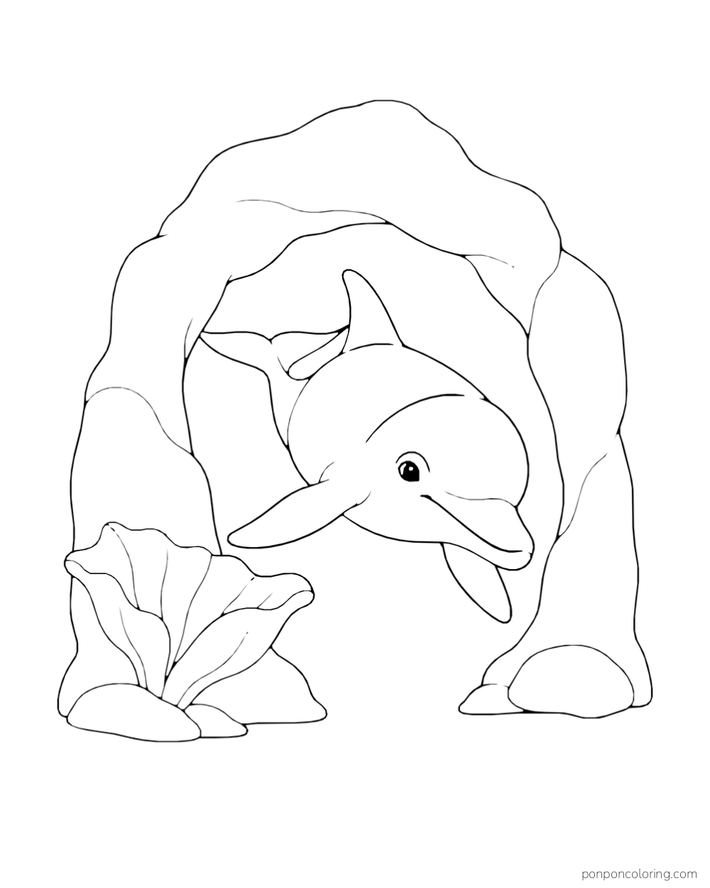 A dolphin swims toward the viewer through a broad rock arch, with a wide sea plant on the left and a small stone on the right.
