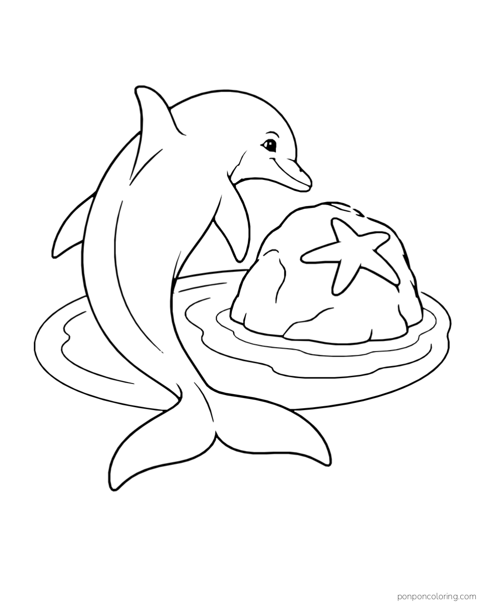 A dolphin curves around a round rock with a large sea star, above a shallow oval water patch.