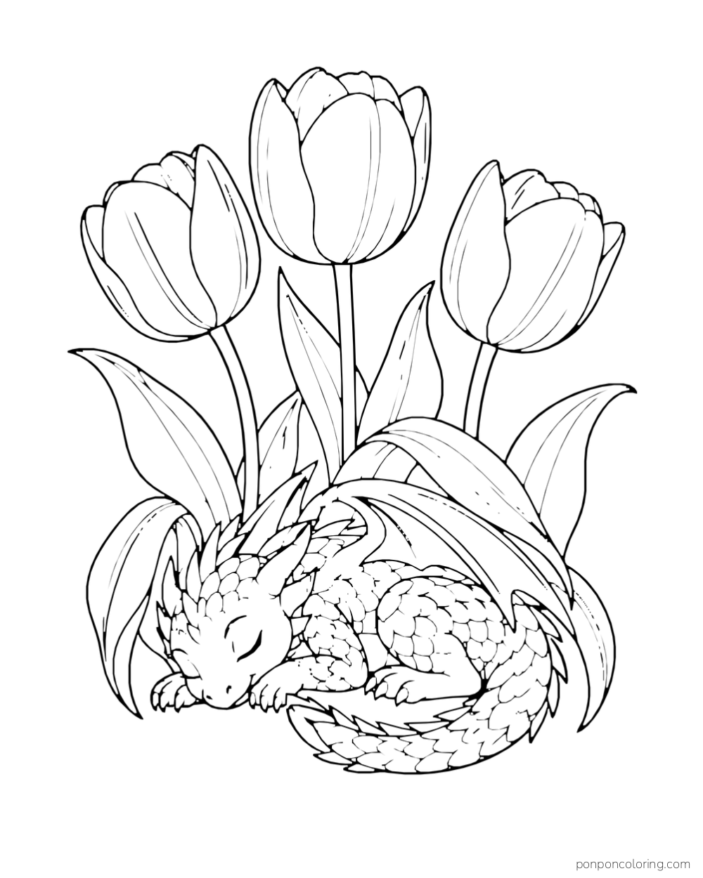 A curled sleeping dragon under three tulips and arching leaves.