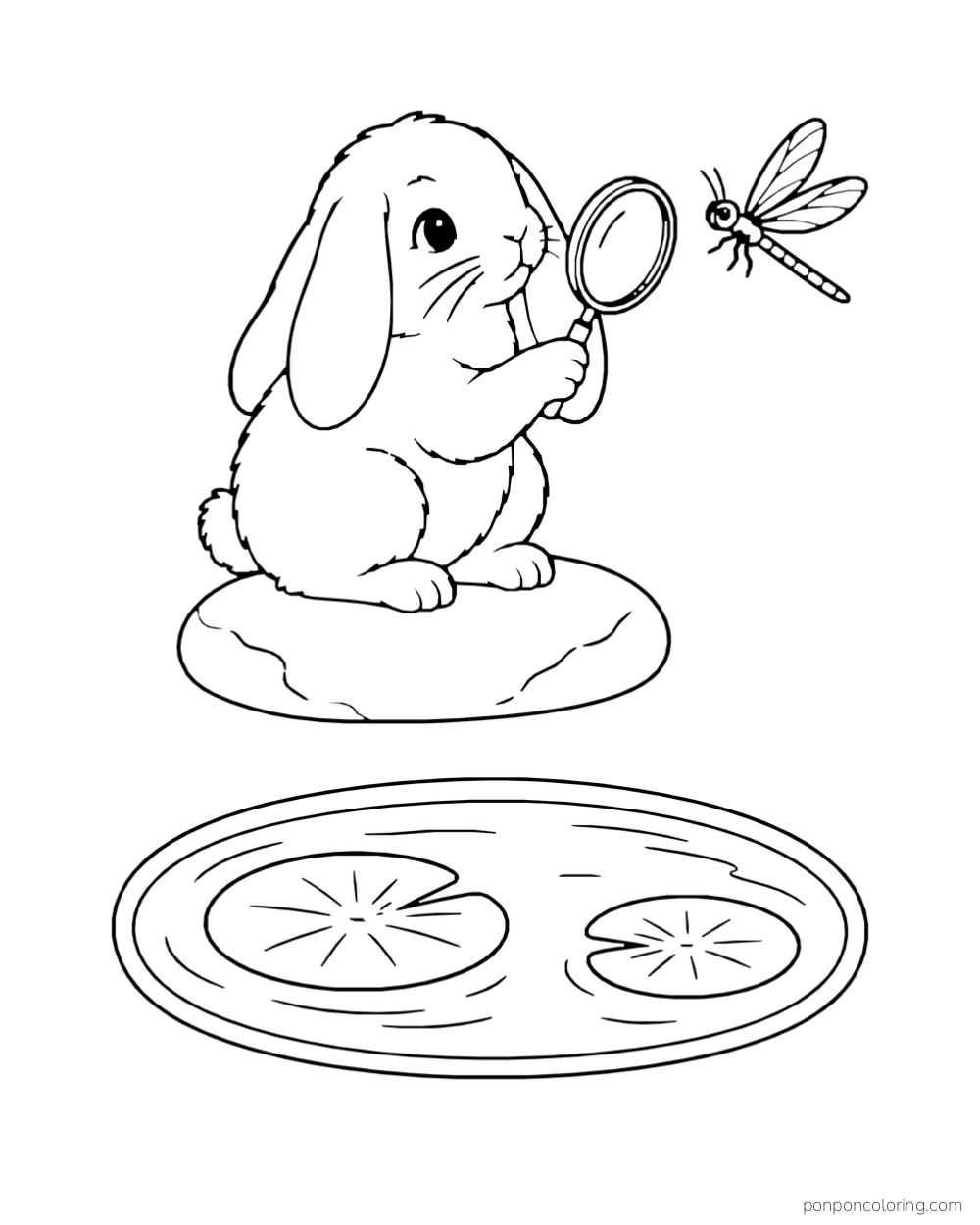 A rabbit on a stone studies a dragonfly with a magnifying glass beside an oval pond.