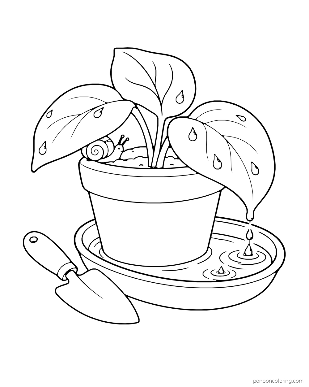 Broad leaves drip into a flowerpot saucer with a small trowel beside it.