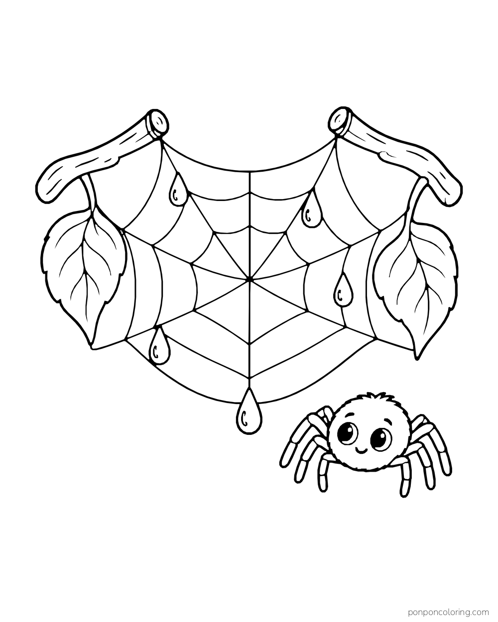 Raindrops cling to a simple web stretched between twigs with a spider below.