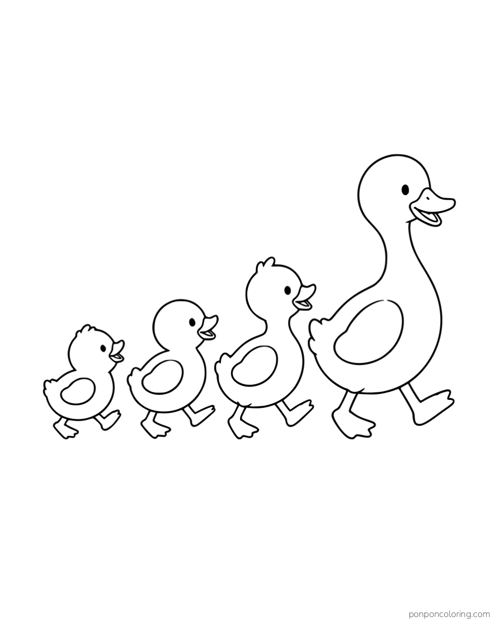 Four ducks of different sizes walking in a line.