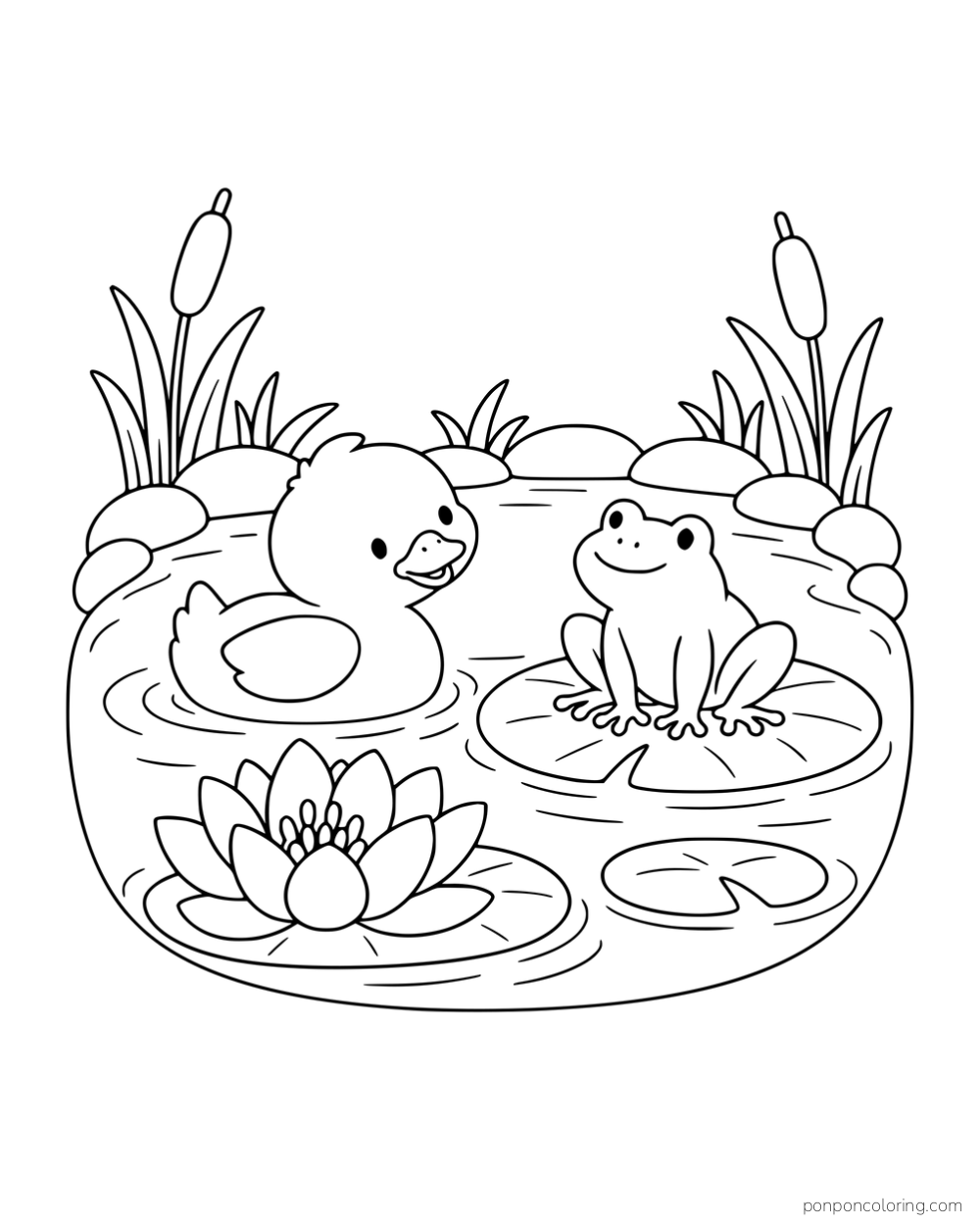 A duck swimming beside a frog on a lily pad in an oval pond with a large water lily.