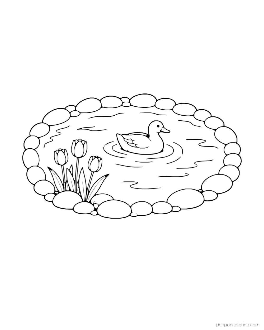 A duck swimming in a round stone-edged pond with a small tulip clump near the bank.
