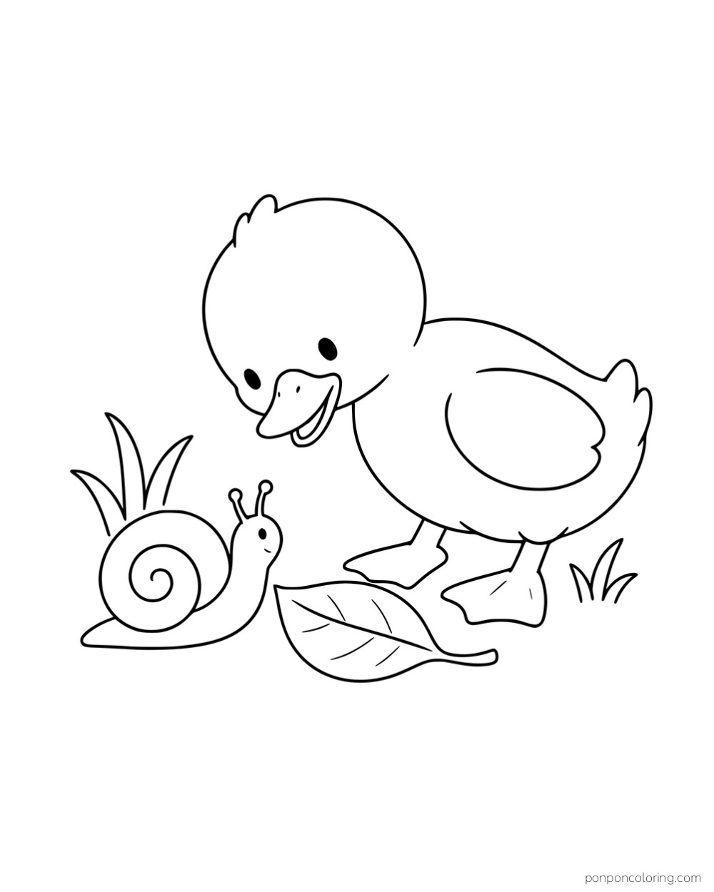 A duckling leaning toward a snail beside a large fallen leaf.