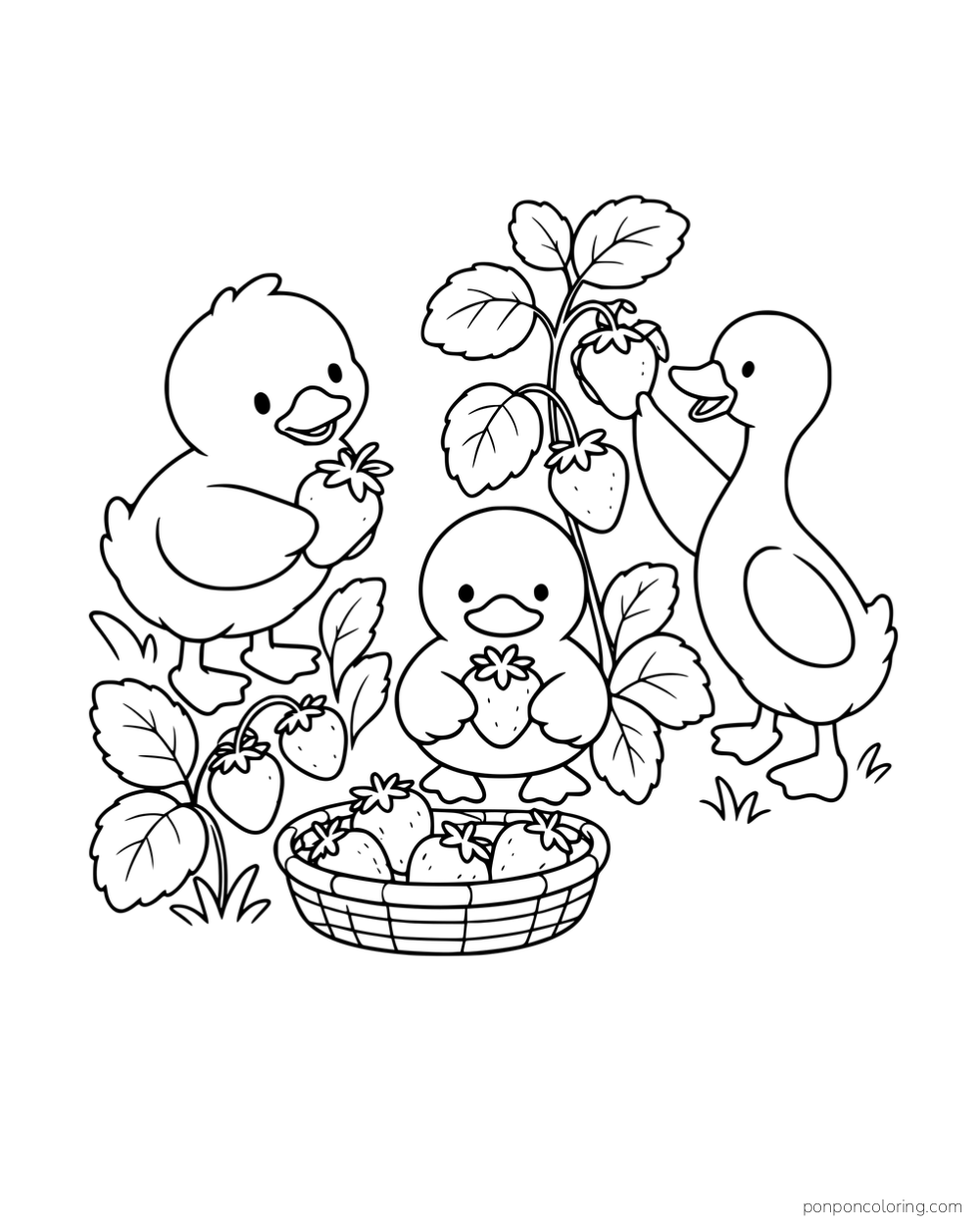 Three ducks gathering strawberries into a basket, with a small round duckling holding a berry in front.