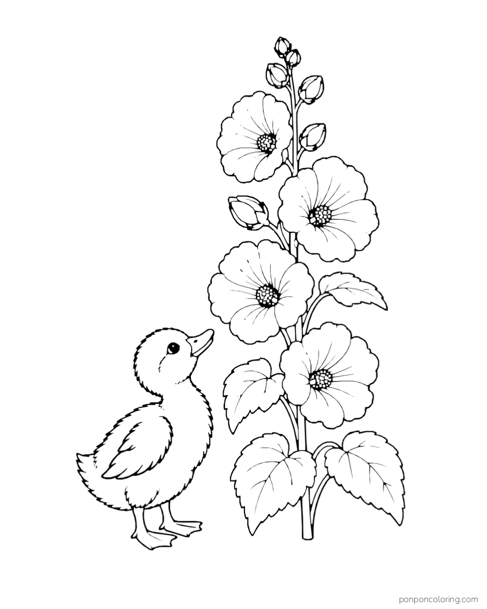 A duckling looks up at a tall stem of hollyhock blossoms and buds.
