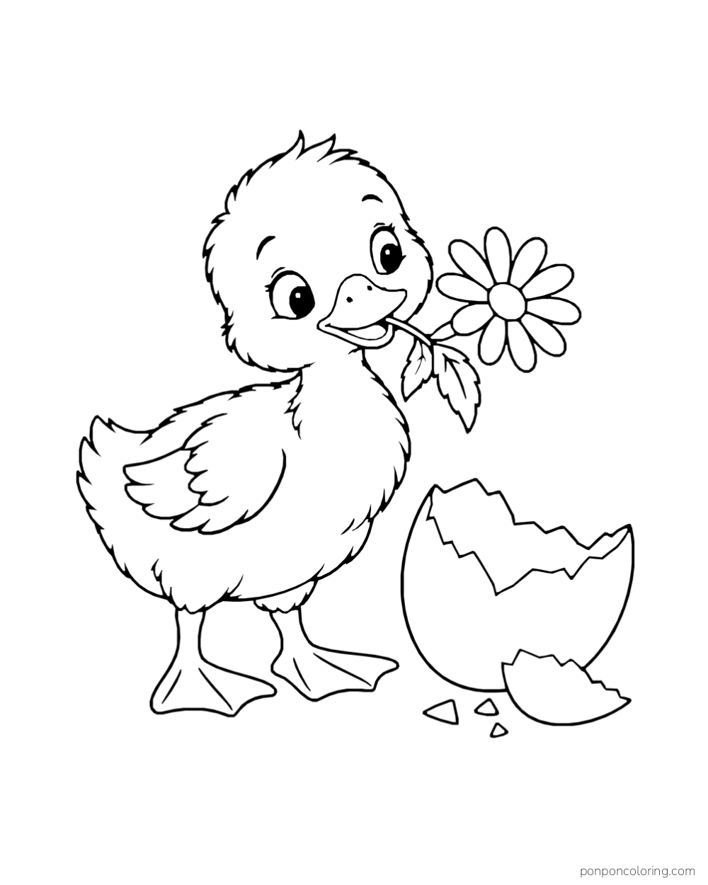 A newly hatched duckling holds a daisy in its bill beside a broken eggshell.