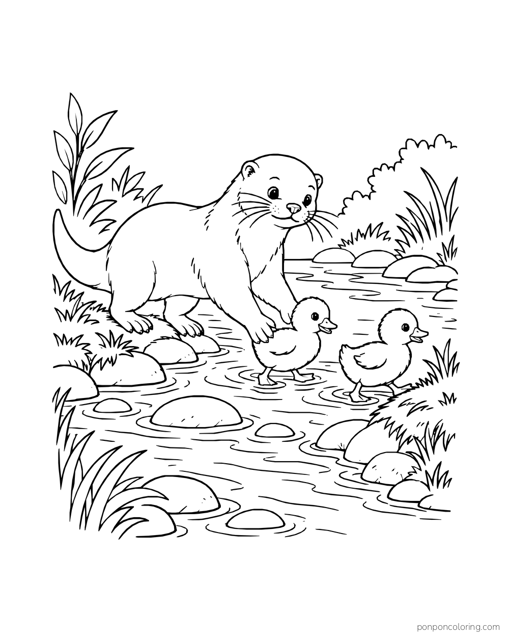 Otter guiding two ducklings across shallow water near the bank.