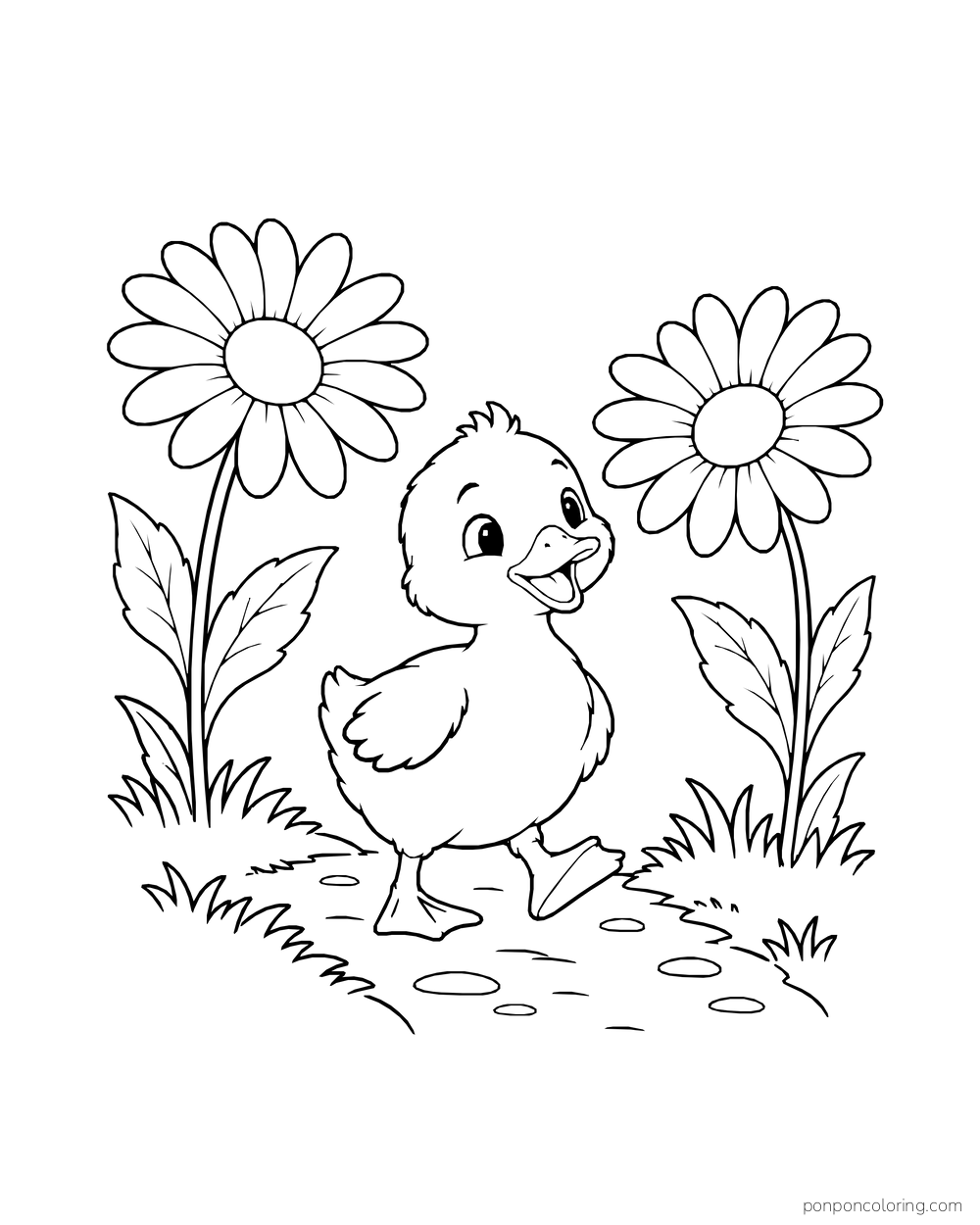 A duckling walks along a path between two tall daisies.