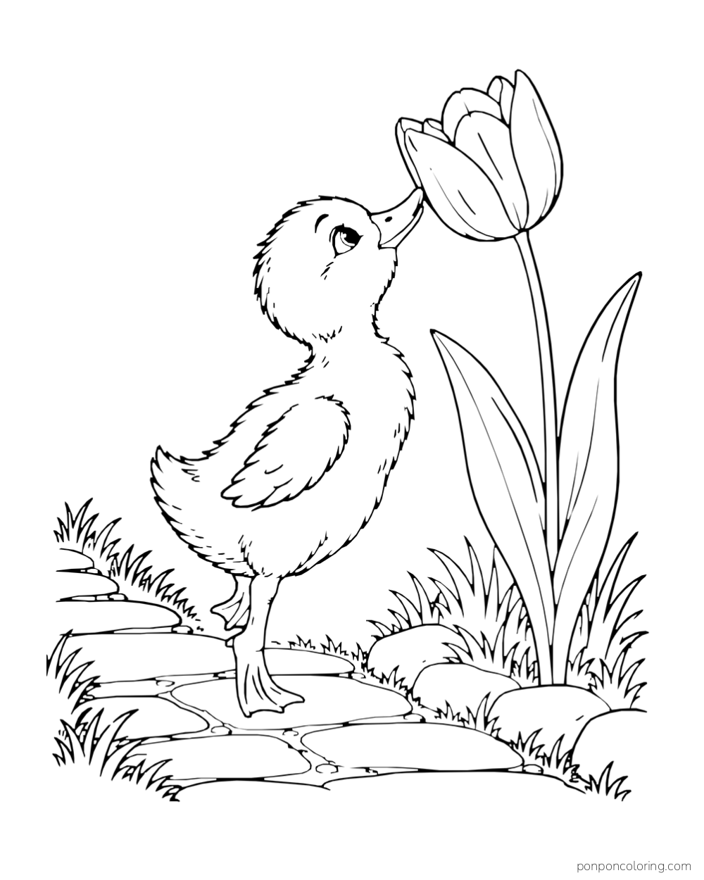 A duckling stretching its beak toward one tall tulip beside a short stone path.