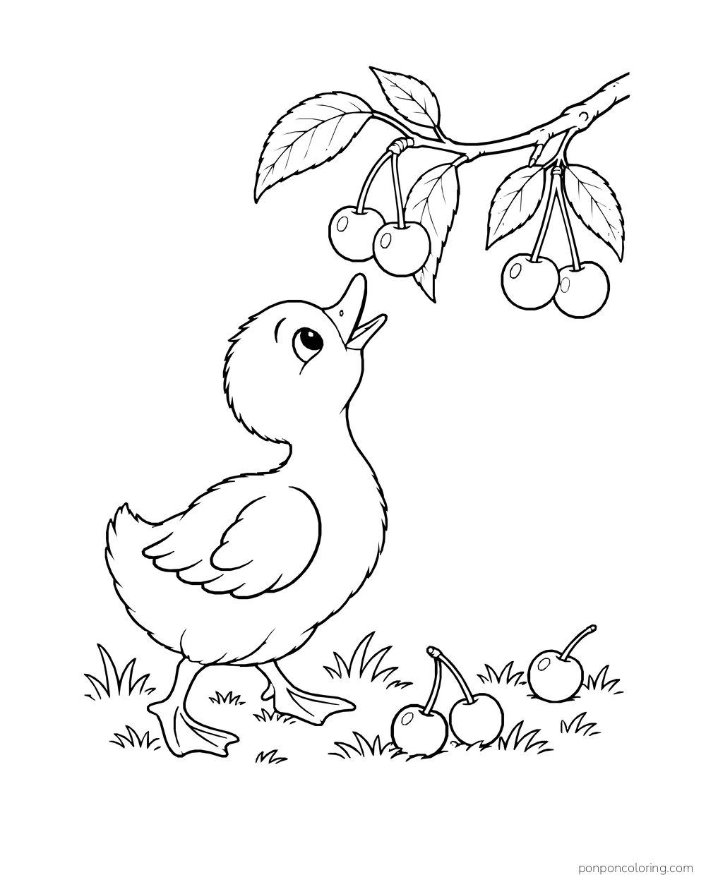 A duckling stands below a fruiting branch with fallen cherries on the grass.
