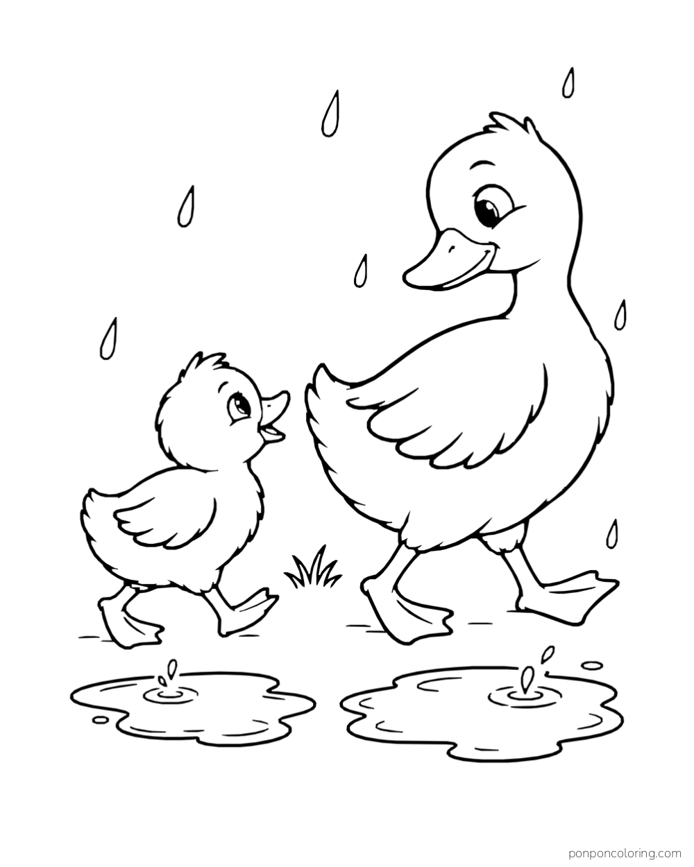 A larger duck and a duckling walk beside two puddles in the rain.