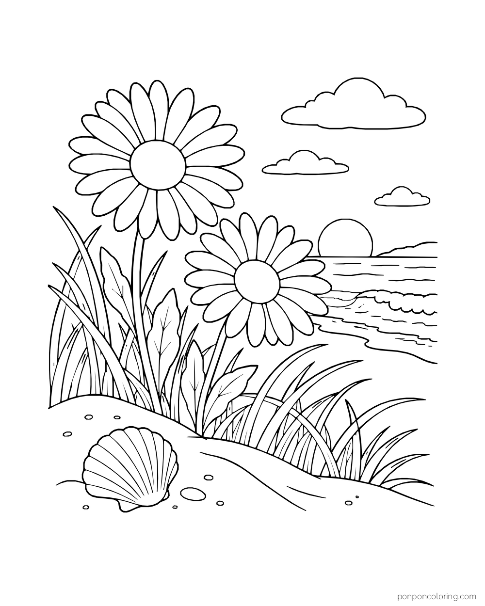 Two daisies grow among dune grass above a beach with a shell in the sand.