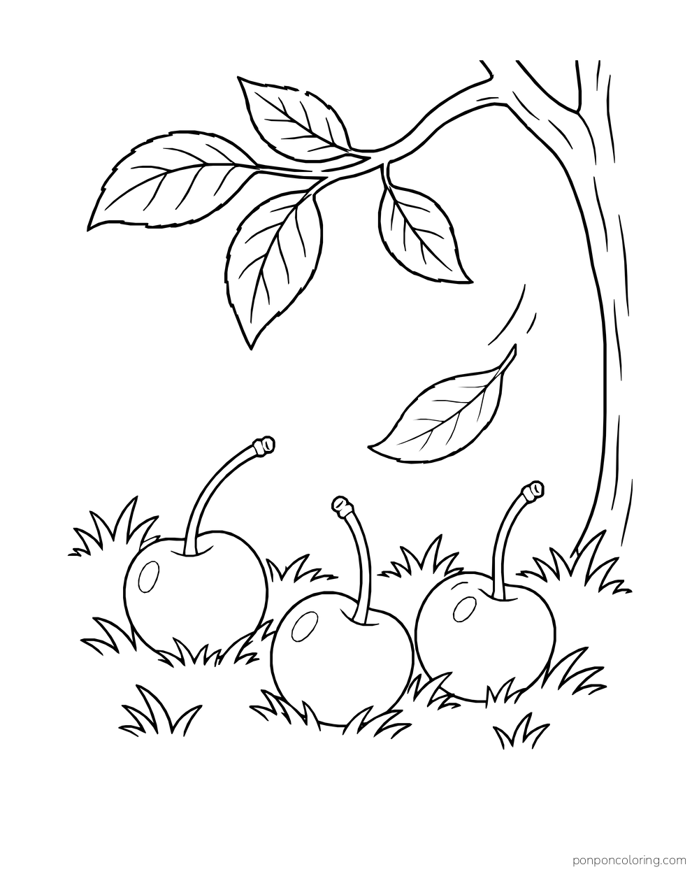 Three fallen cherries lie in grass beneath an overhanging branch and drifting leaf.