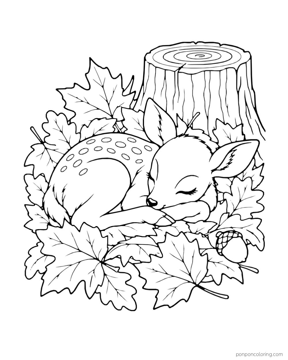 A spotted fawn sleeps among broad leaves next to a tree stump and an acorn.