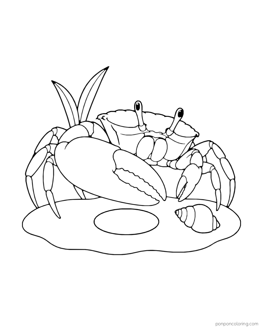 A crab with one oversized claw stands beside a round burrow opening, beach grass, and a small shell.