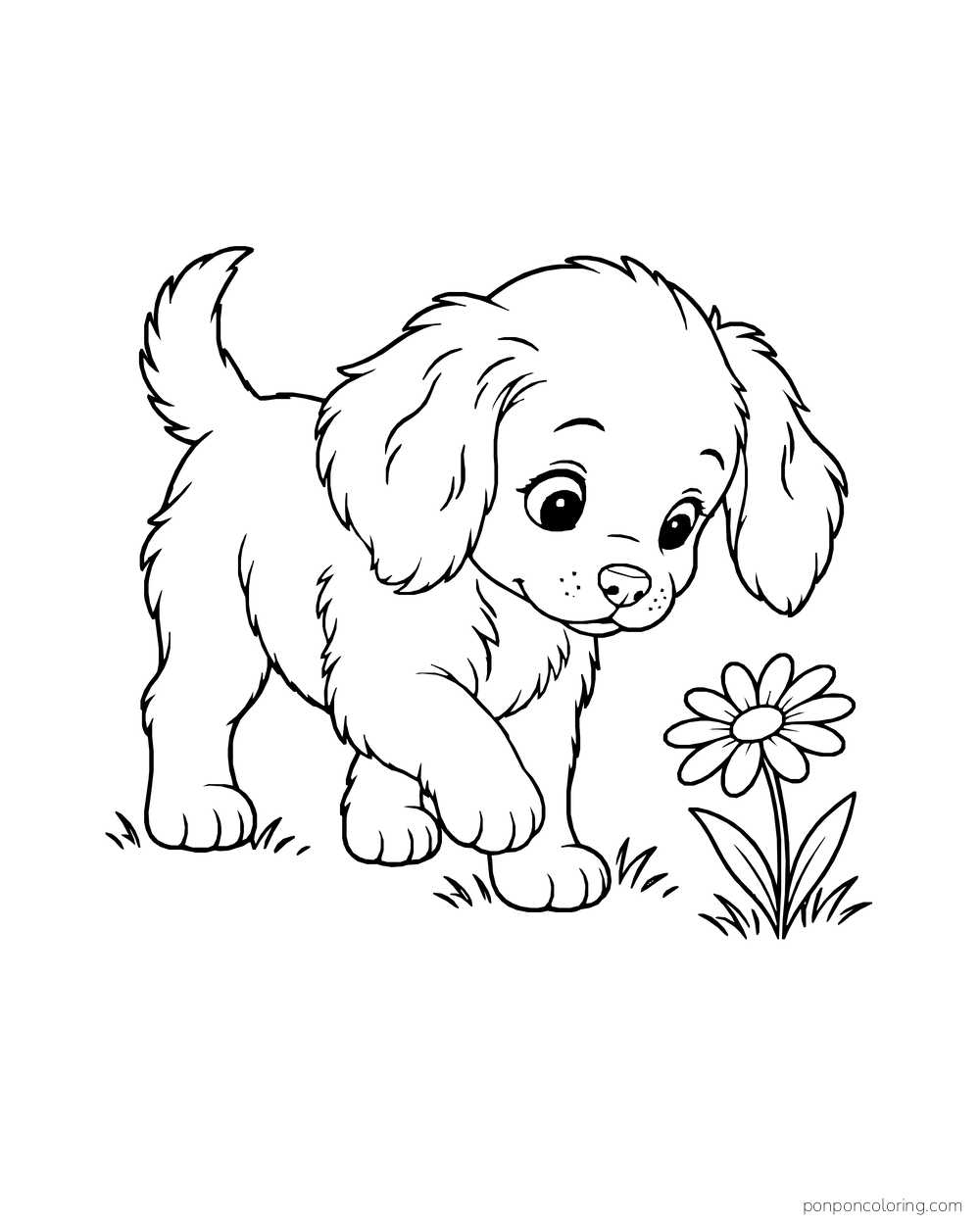 A small floppy-eared puppy takes a careful step toward a daisy, with one paw raised.