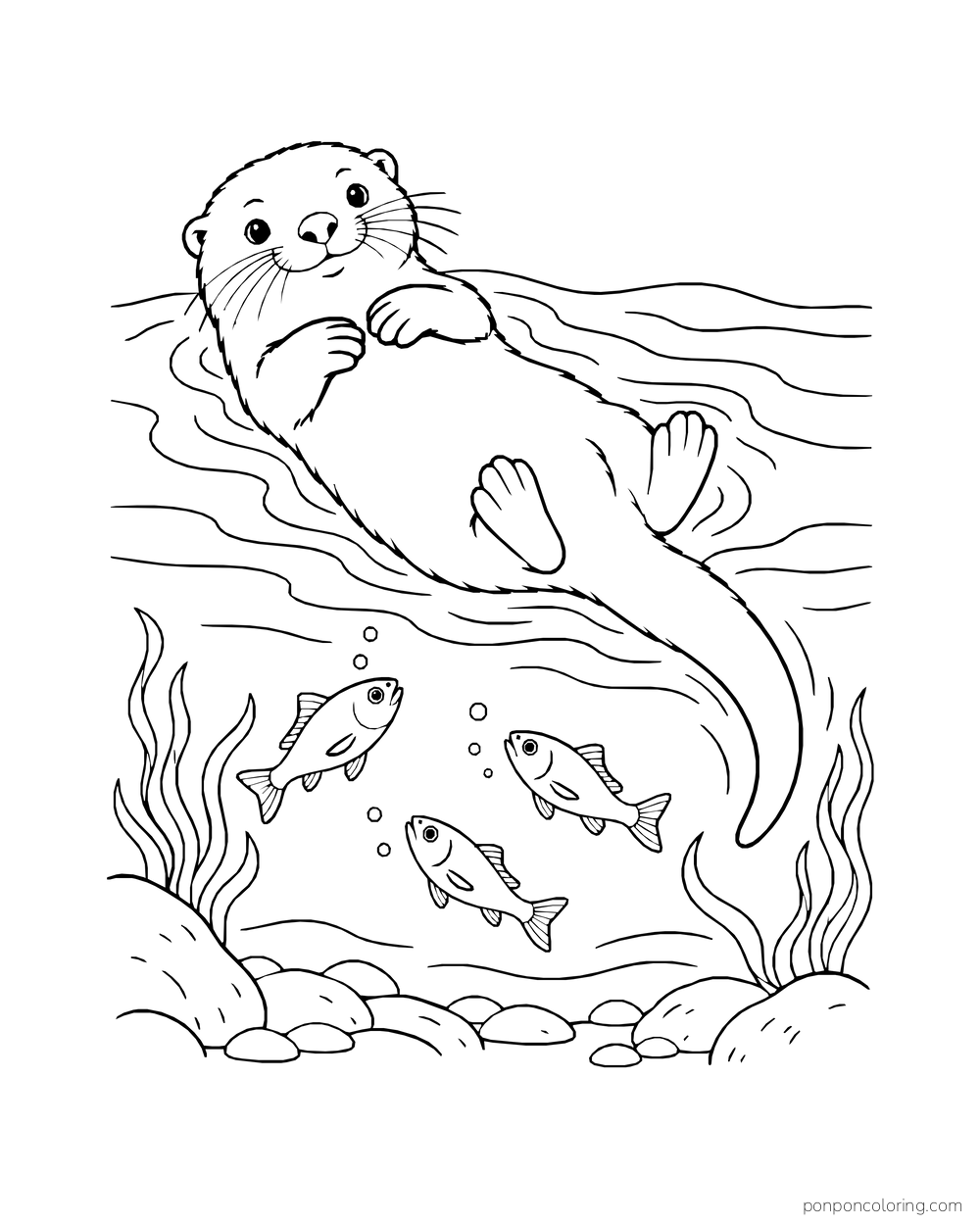 Otter floating above three small fish visible below the water.