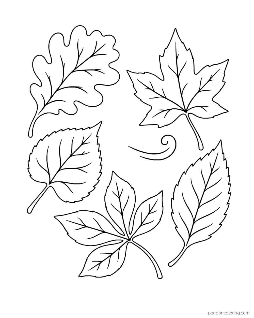 Five large leaf shapes with branching veins arranged around a curling wind line.