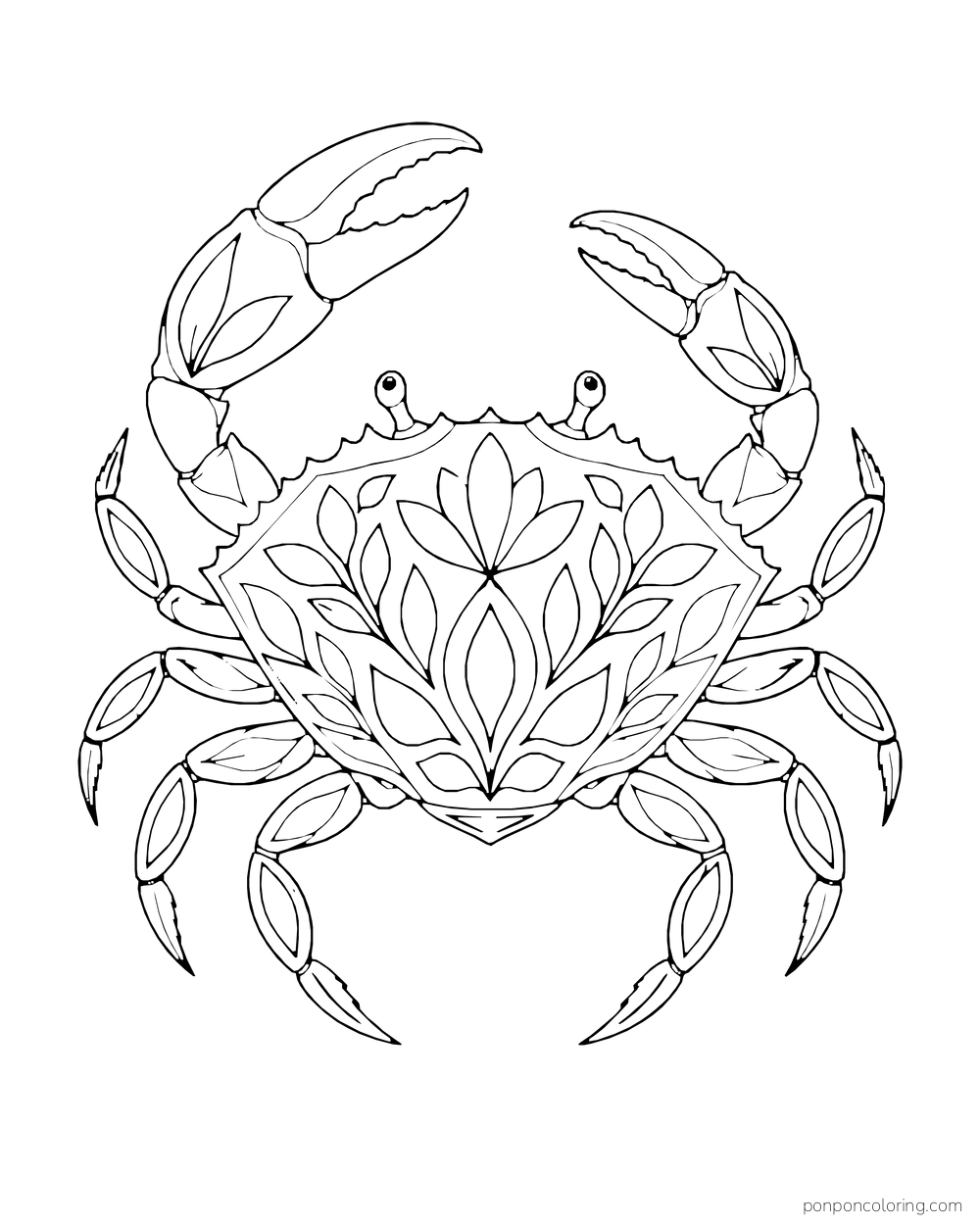 A crab seen from above has a large flower and leafy pattern inside its shell.