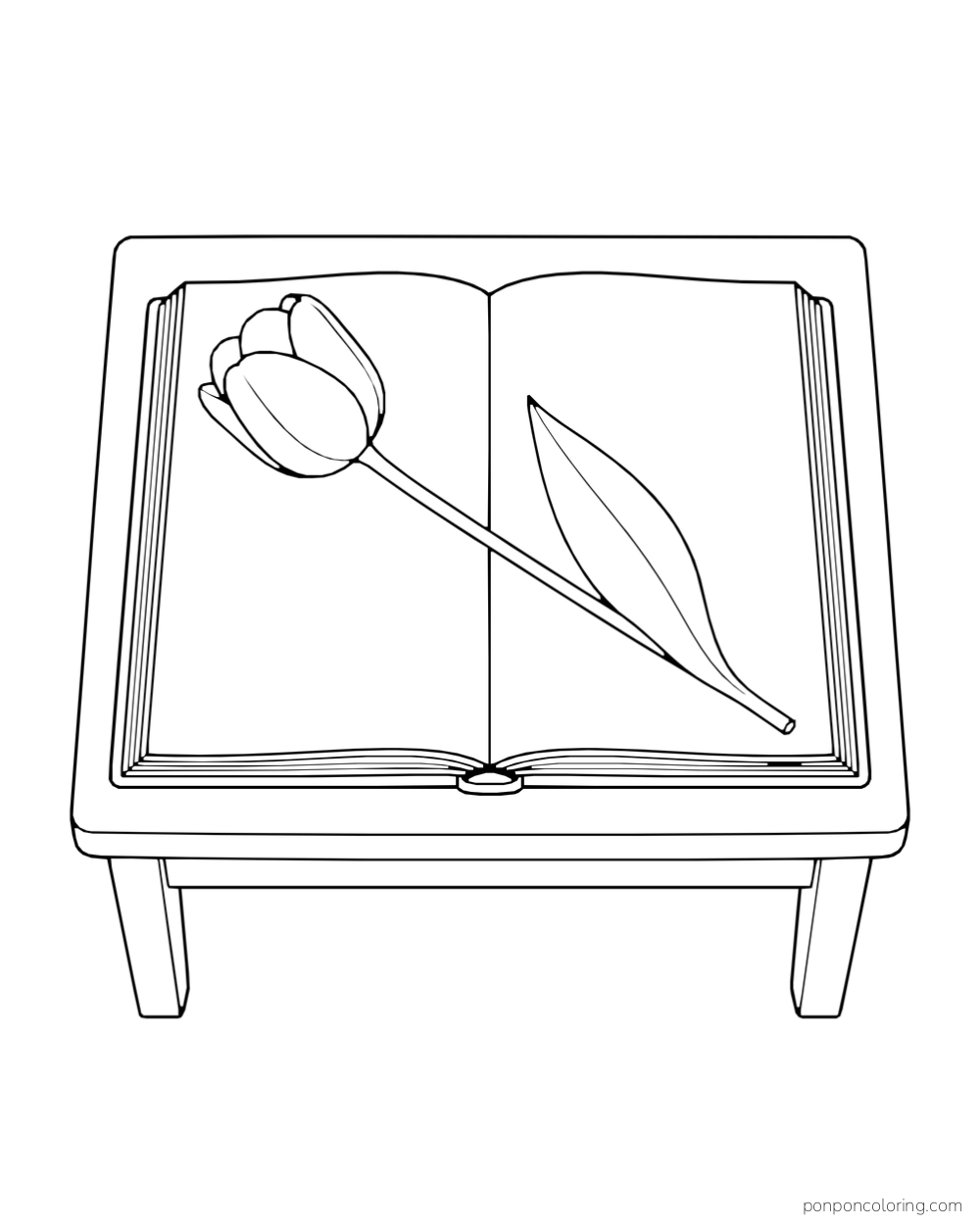 A cut tulip lying diagonally across the open pages of a book on a low stand.