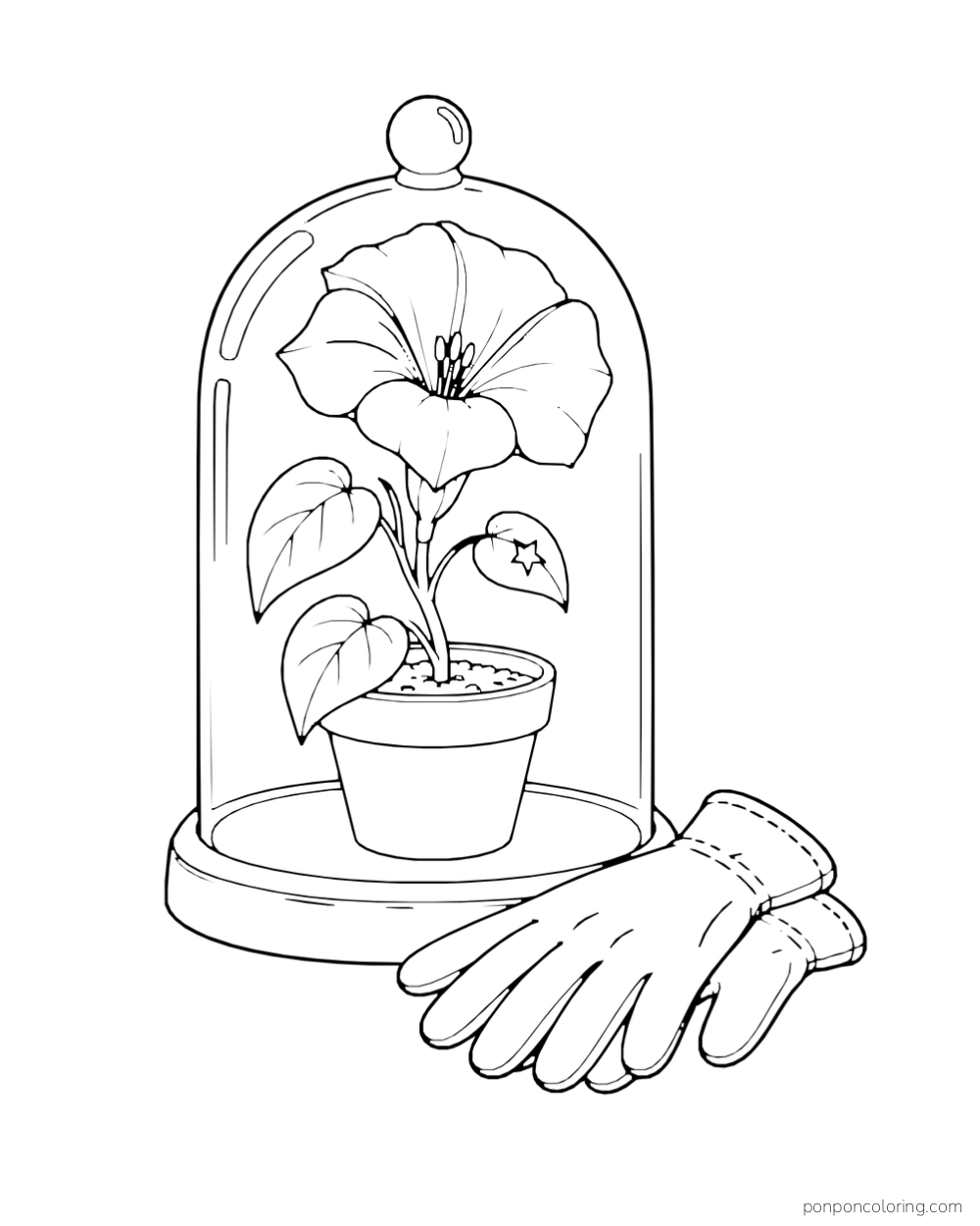 A potted flower sits beneath a glass dome beside gardening gloves.