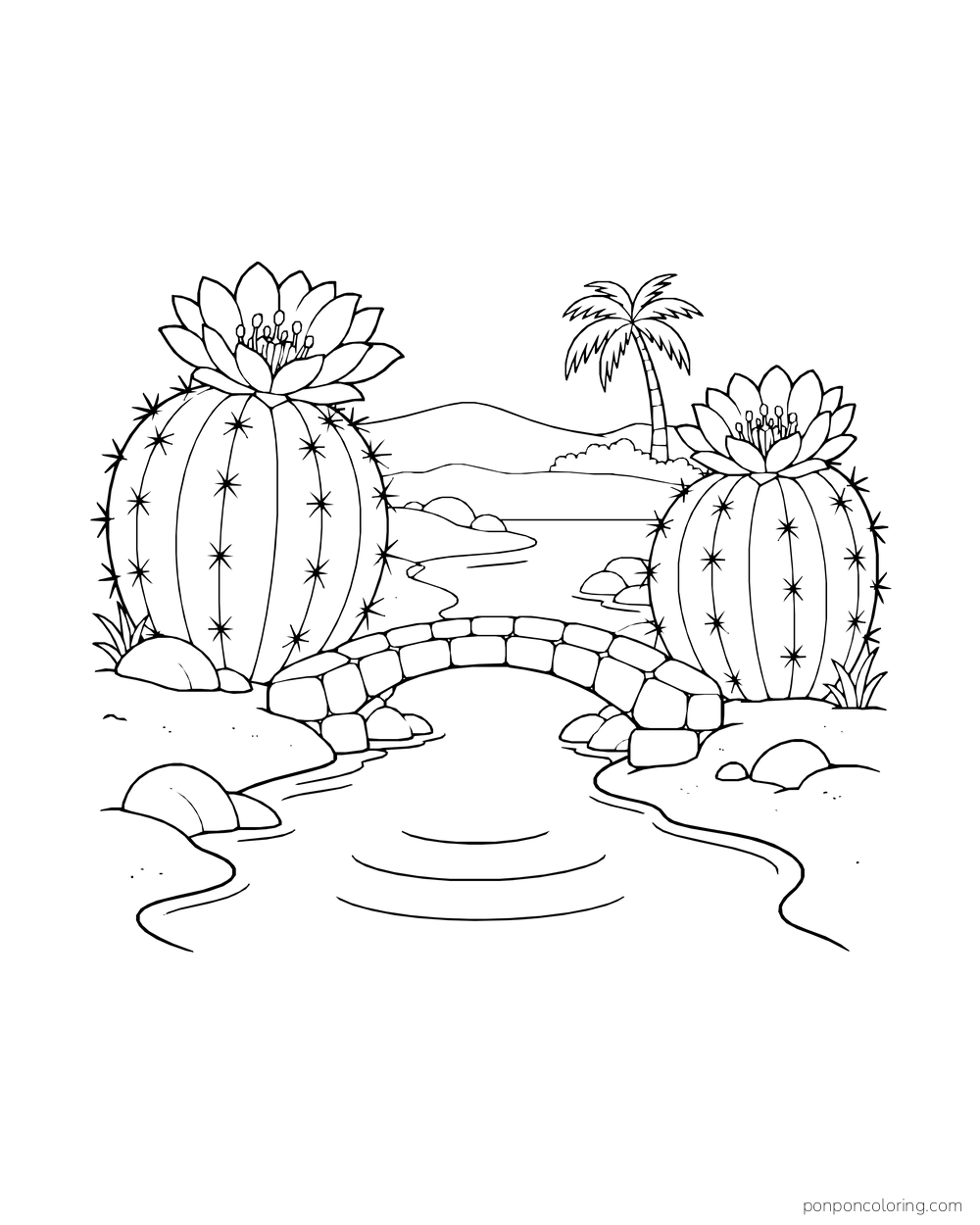 Two flowering barrel cacti grow on opposite sides of a low stone bridge over a narrow stream.