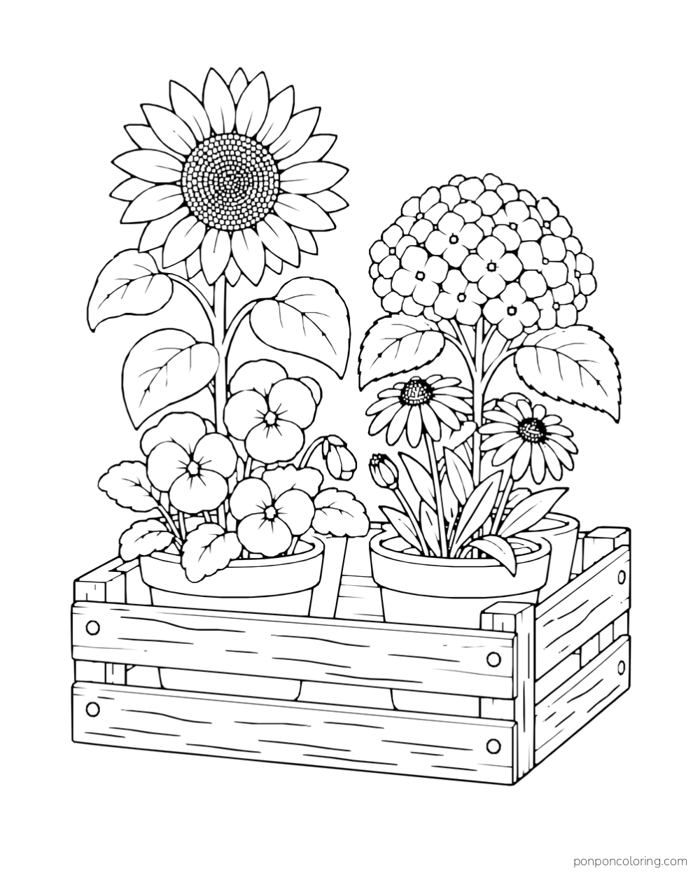 A wooden crate holds four pots of flowers, including a sunflower, hydrangea, pansies, and daisies.