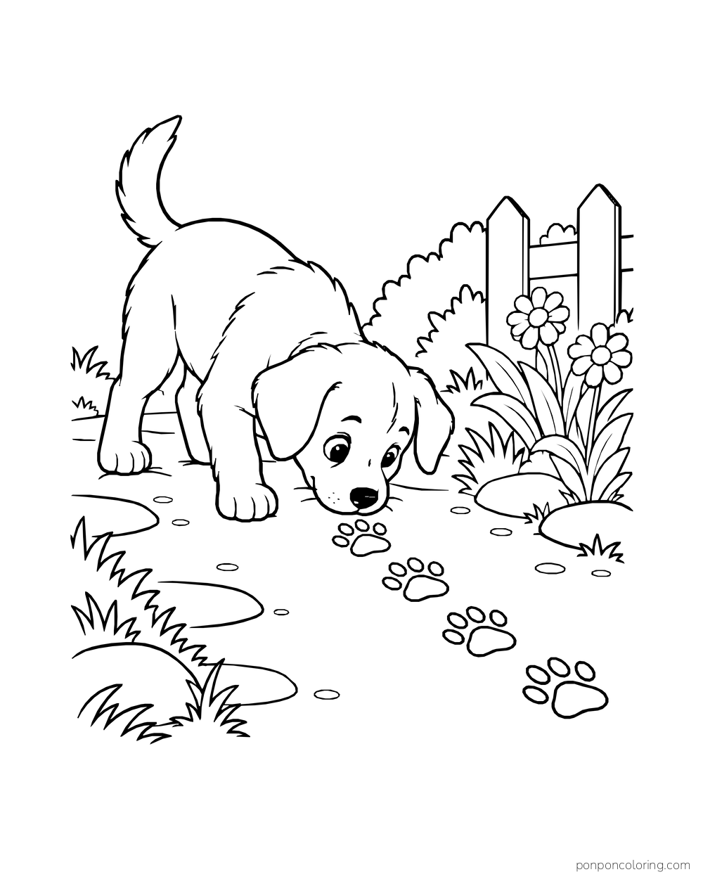 A puppy sniffs a short trail of paw prints beside a garden fence and flowers.