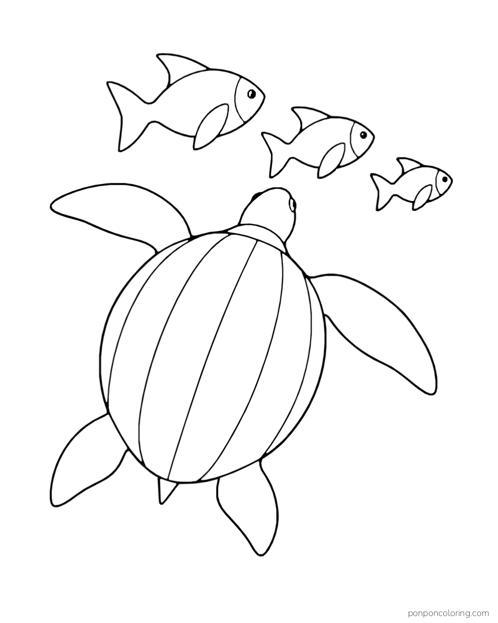 A sea turtle seen from behind swims toward three fish of different sizes.