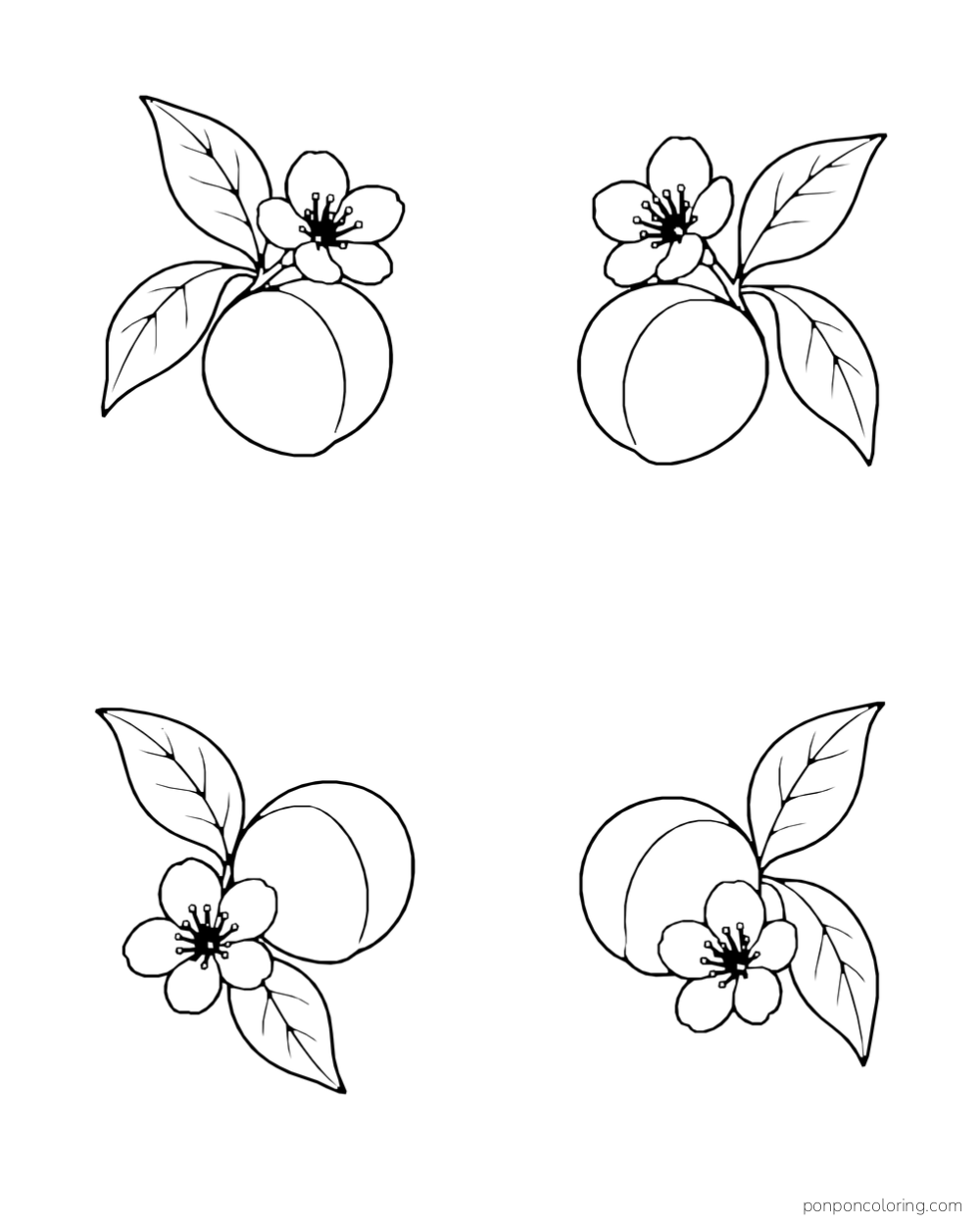 Four separate peach, leaf, and blossom clusters around a white center.