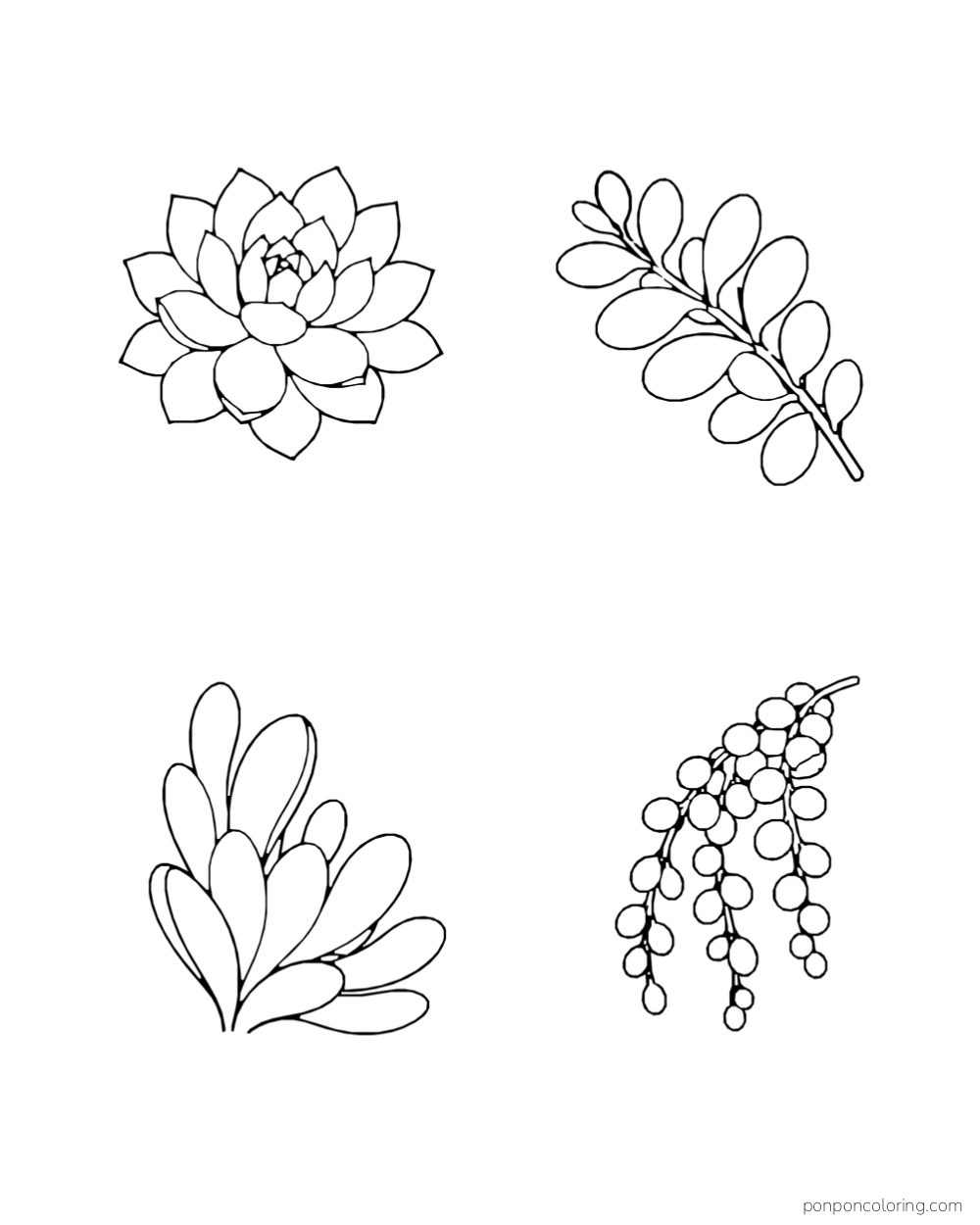 Four complete botanical motifs: rosette, oval branch, broad upright leaves and bead-like trailing leaves.