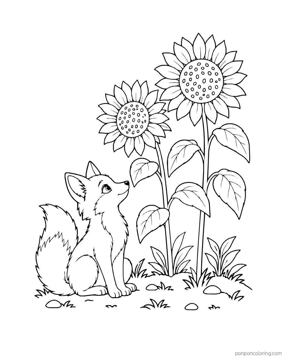 A seated fox looking toward two sunflowers in a sparse garden patch.