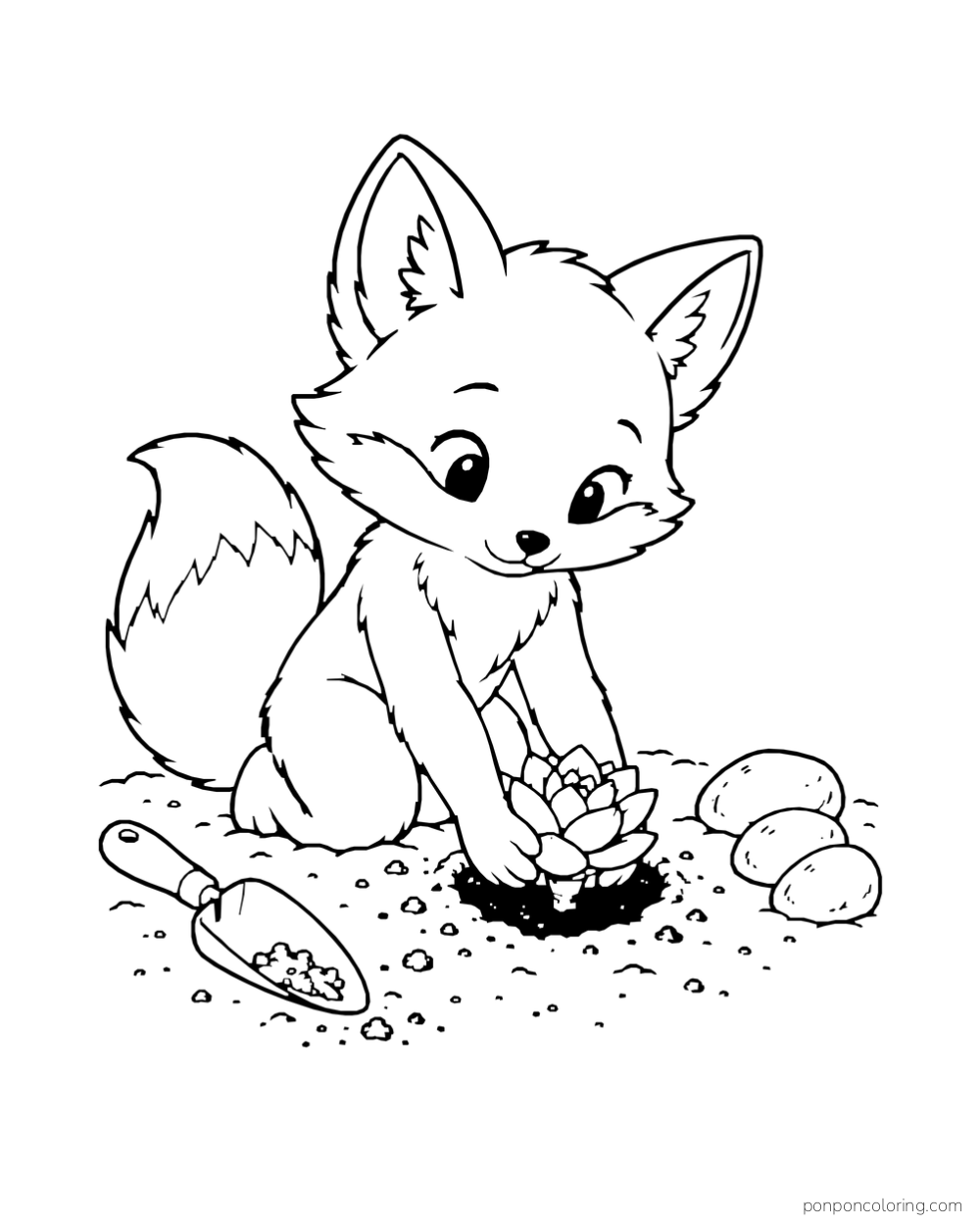 Fox kneeling beside a soil hole and placing a small succulent rosette cutting into it.