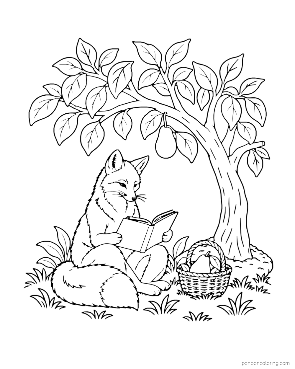 A fox reads beneath an avocado tree with one hanging fruit and a basket.
