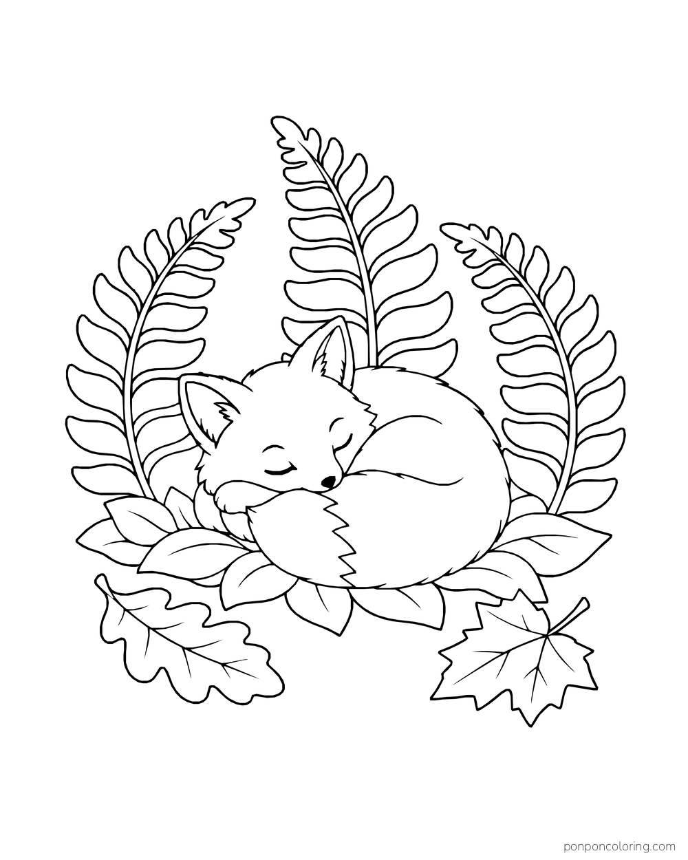 A fox sleeping curled up on a leaf bed surrounded by three fern fronds and two fallen leaves.